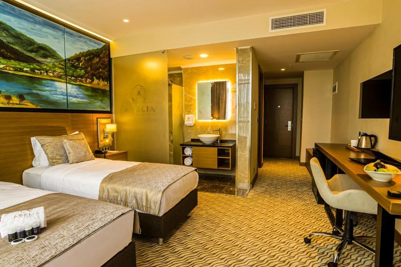 Aselia Hotel Trabzon 4*,