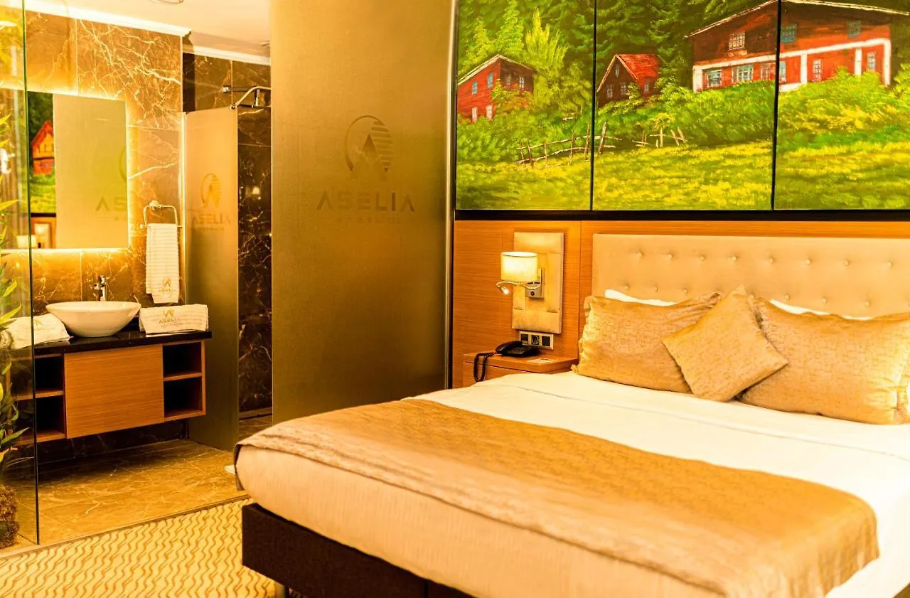 Aselia Hotel Trabzon