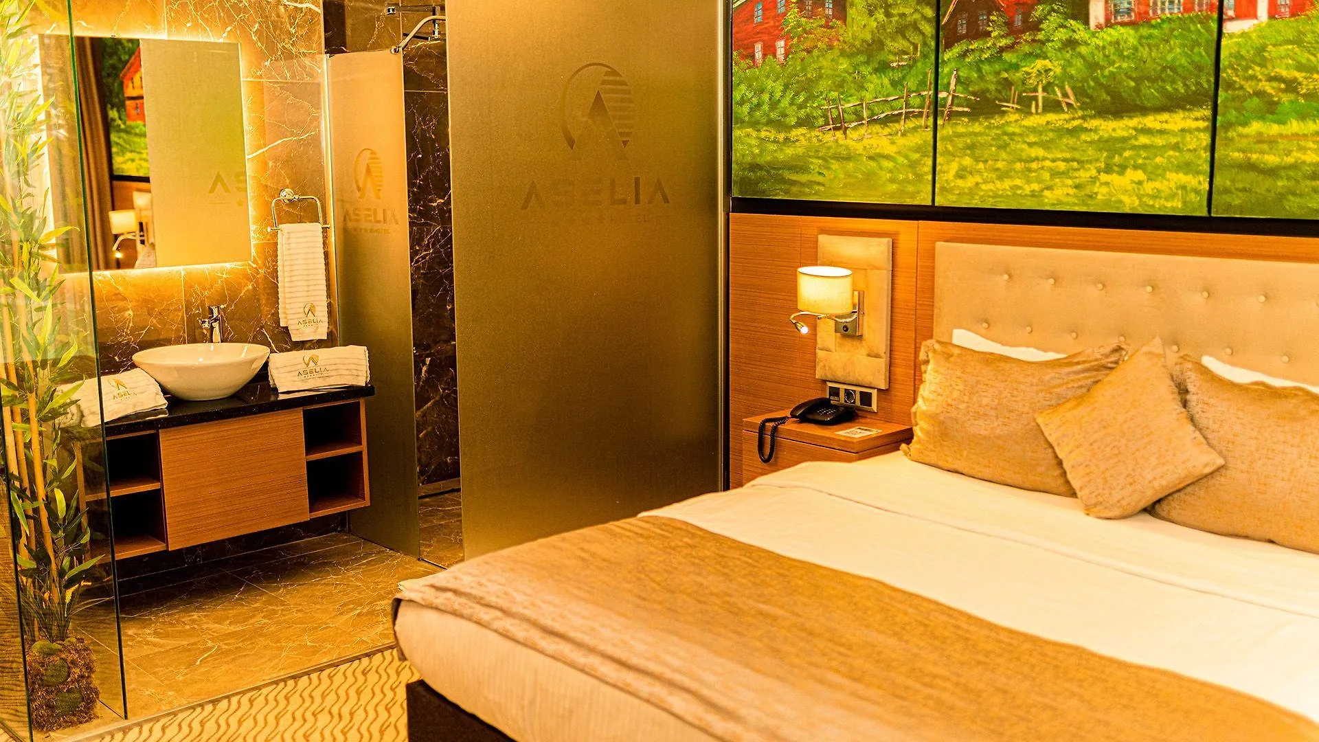 Aselia Hotel Trabzon