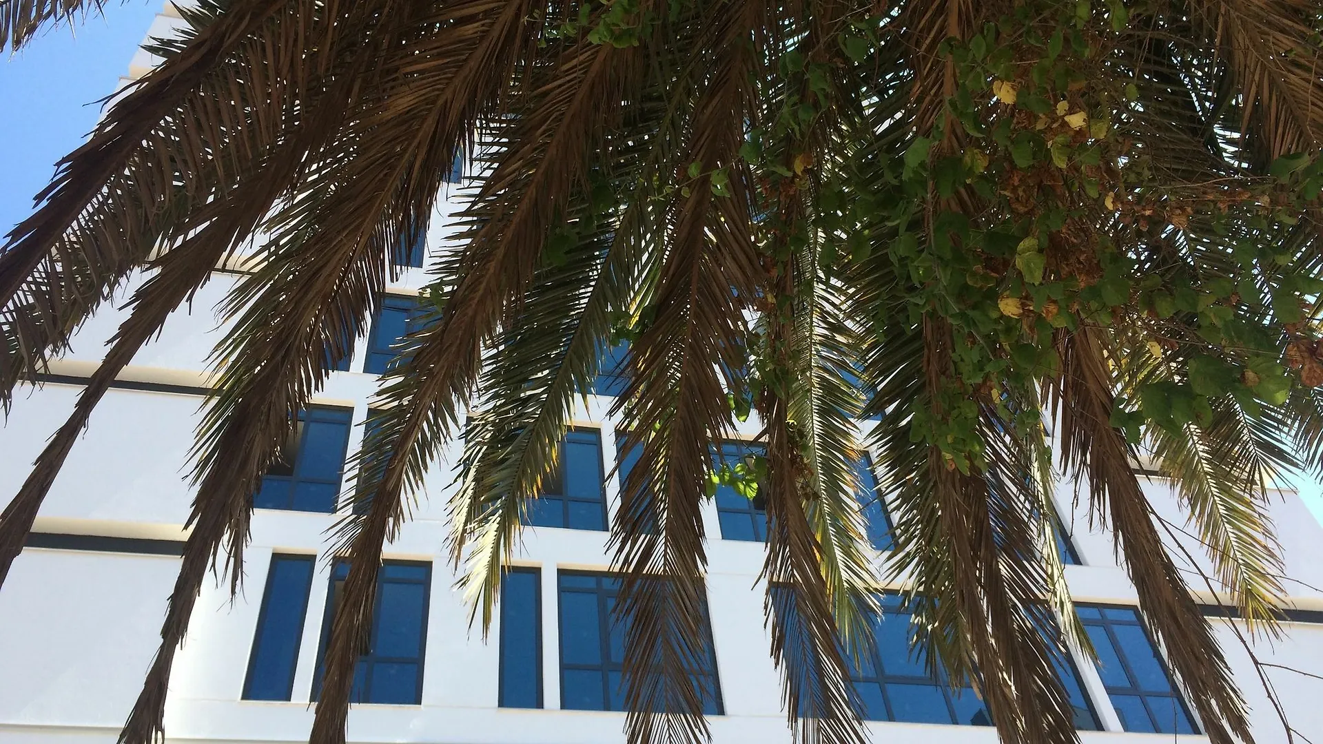 Aselia Hotel Trabzon Turquía